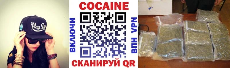 купить наркотики сайты  Берёзовка  КОКАИН Columbia 