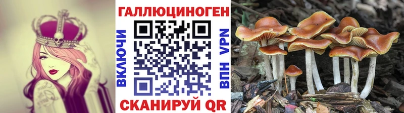 Псилоцибиновые грибы Cubensis  MEGA зеркало  Берёзовка 